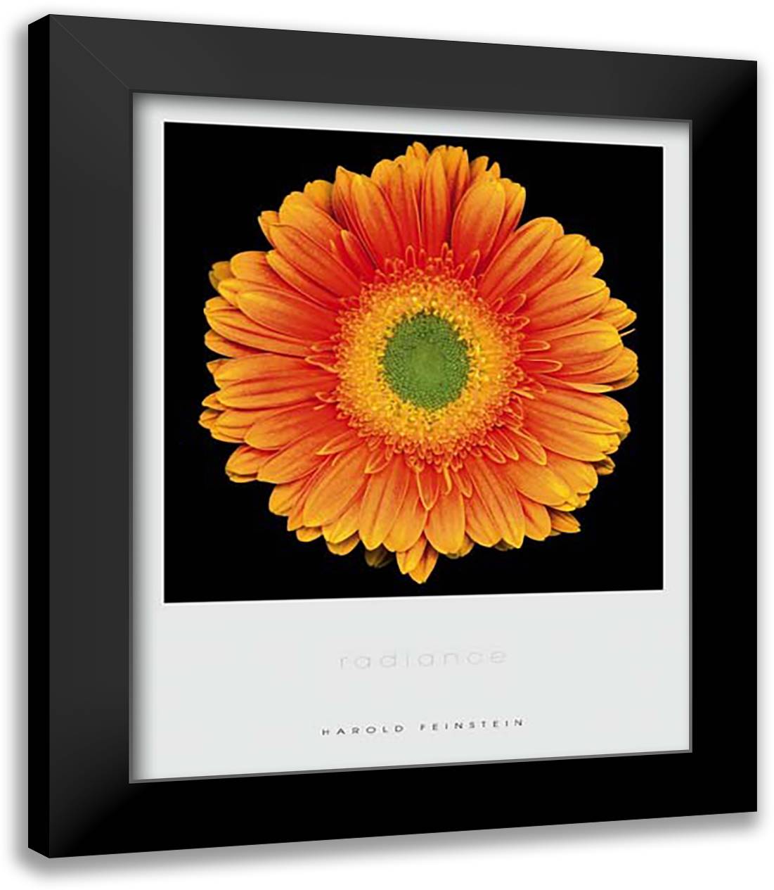 Radiance 15x18 Black Modern Wood Framed Art Print Poster by Feinstein, Harold