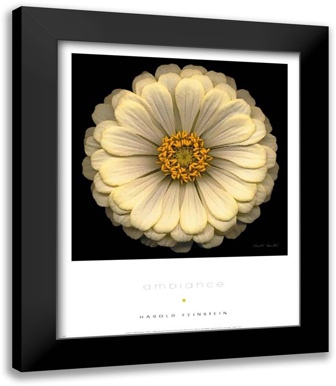 Ambiance 15x18 Black Modern Wood Framed Art Print Poster by Feinstein, Harold