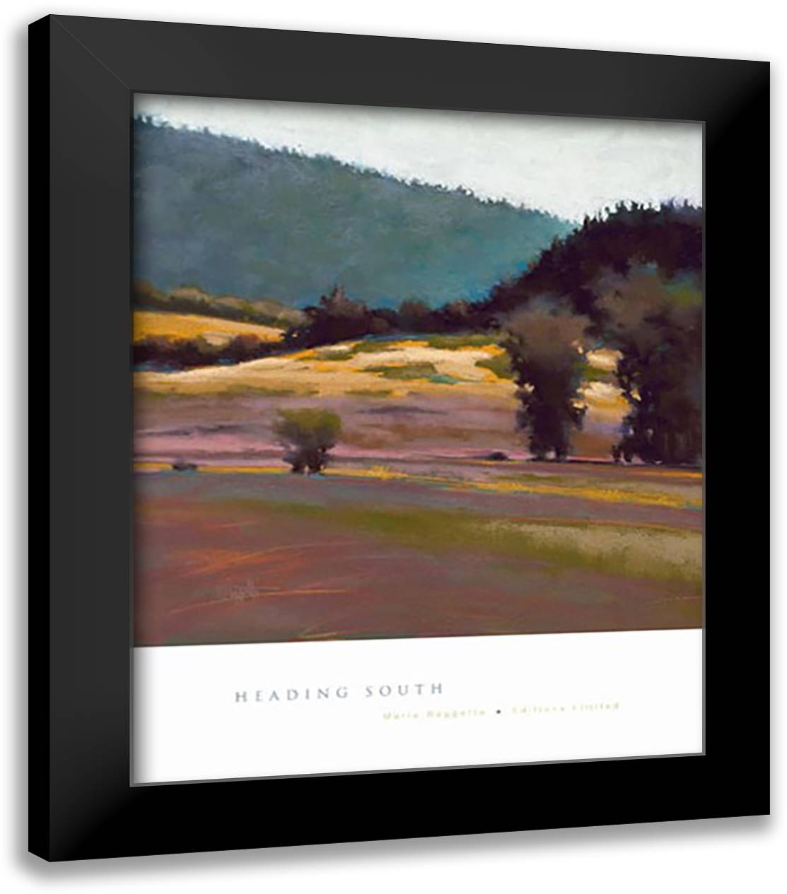 Heading South 28x34 Black Modern Wood Framed Art Print Poster by Baggetta, Marla
