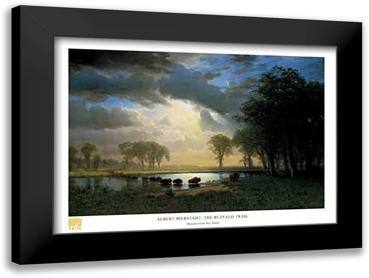 Buffalo Trail 32x24 Black Modern Wood Framed Art Print Poster