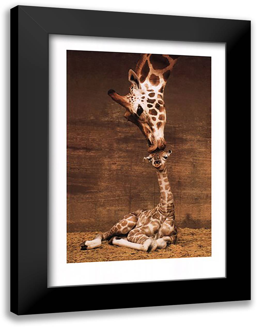Makulu 28x40 Black Modern Wood Framed Art Print Poster by D'Raine, Ron