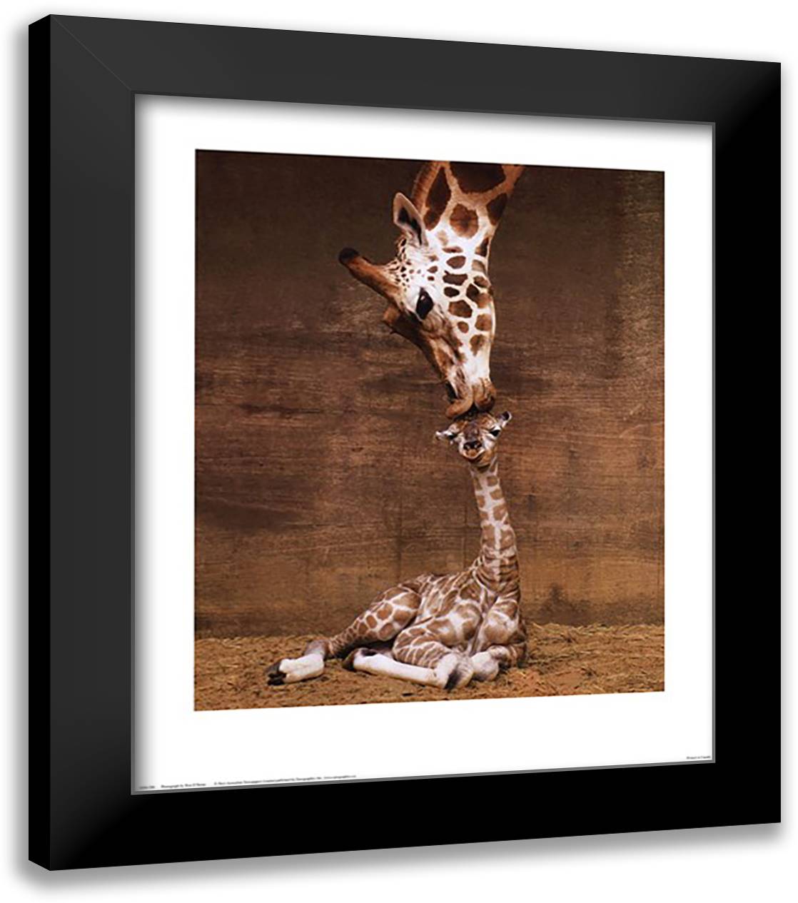 Makulu 20x24 Black Modern Wood Framed Art Print Poster by D'Raine, Ron