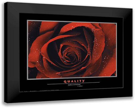 Quality 18x15 Black Modern Wood Framed Art Print Poster