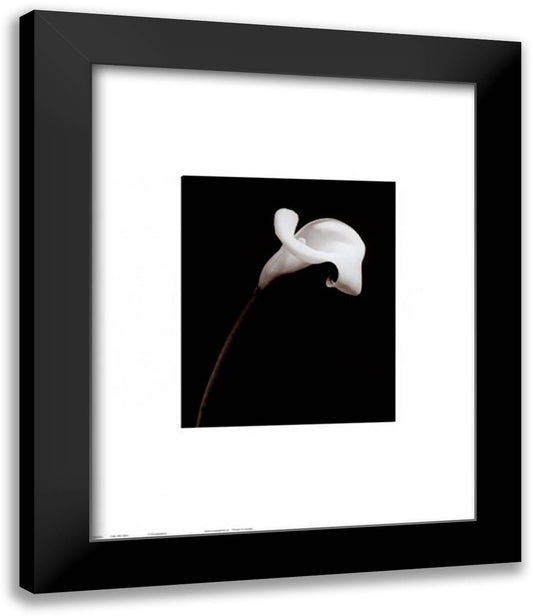 Calla 15x18 Black Modern Wood Framed Art Print Poster