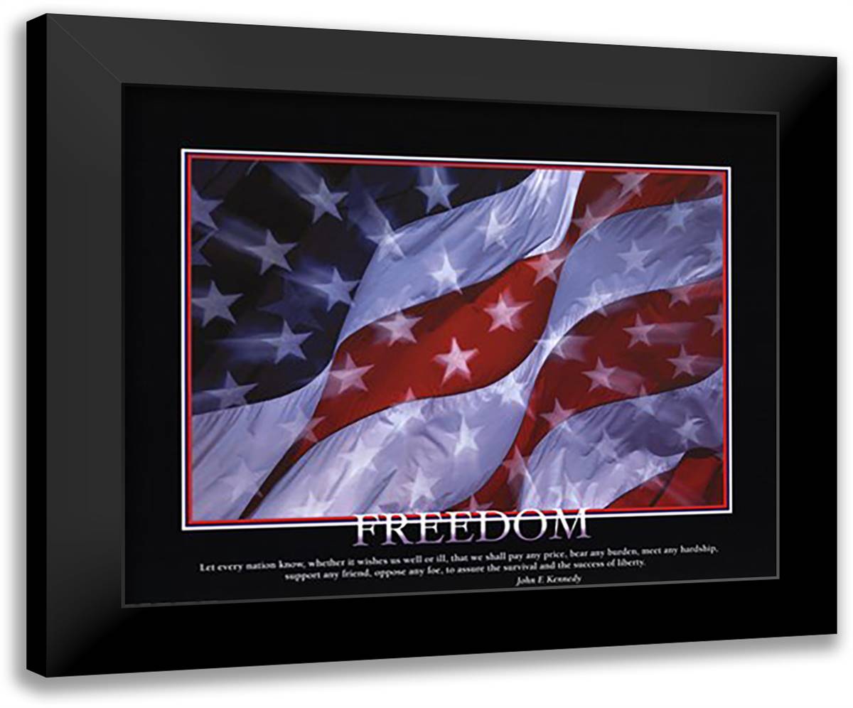 Patriotic-Freedom 24x20 Black Modern Wood Framed Art Print Poster