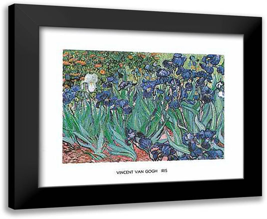 Irises in the Garden 24x20 Black Modern Wood Framed Art Print Poster by Van Gogh, Vincent