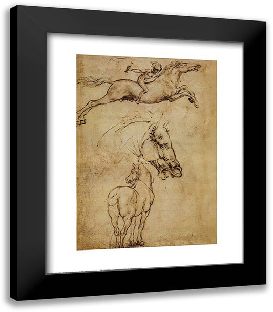 Sketch of a Horse 20x24 Black Modern Wood Framed Art Print Poster by da Vinci, Leonardo