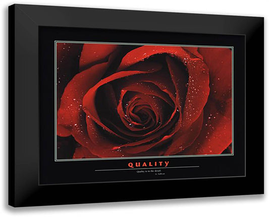 Quality 32x26 Black Modern Wood Framed Art Print Poster