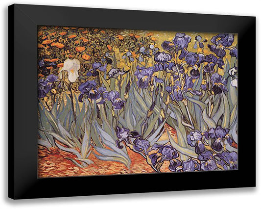 Irises in the Garden, Saint-Remy, c.1889 24x20 Black Modern Wood Framed Art Print Poster by Van Gogh, Vincent