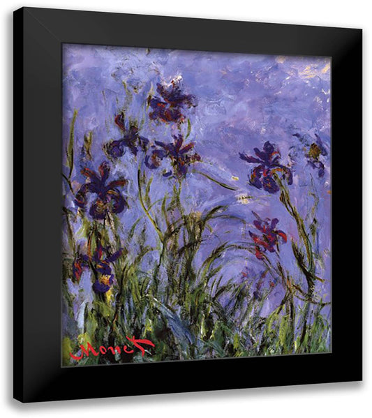 Iris 20x24 Black Modern Wood Framed Art Print Poster by Monet, Claude