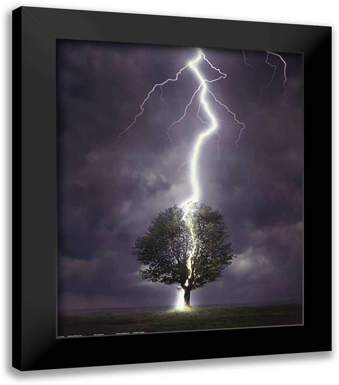 Lightning 20x24 Black Modern Wood Framed Art Print Poster by Allan, Davey