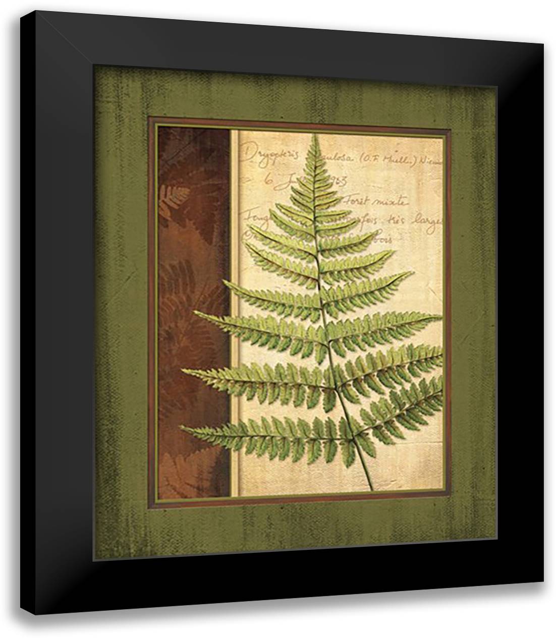 Fern Grotto I 15x18 Black Modern Wood Framed Art Print Poster by Corbin, Delphine