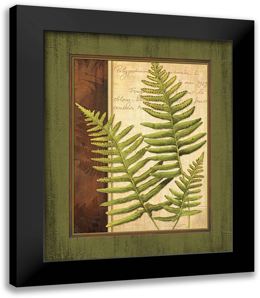 Fern Grotto III 15x18 Black Modern Wood Framed Art Print Poster by Corbin, Delphine