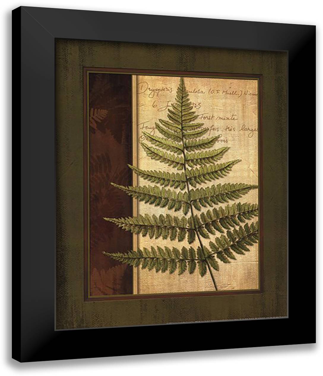 Fern Grotto I 15x18 Black Modern Wood Framed Art Print Poster by Corbin, Delphine