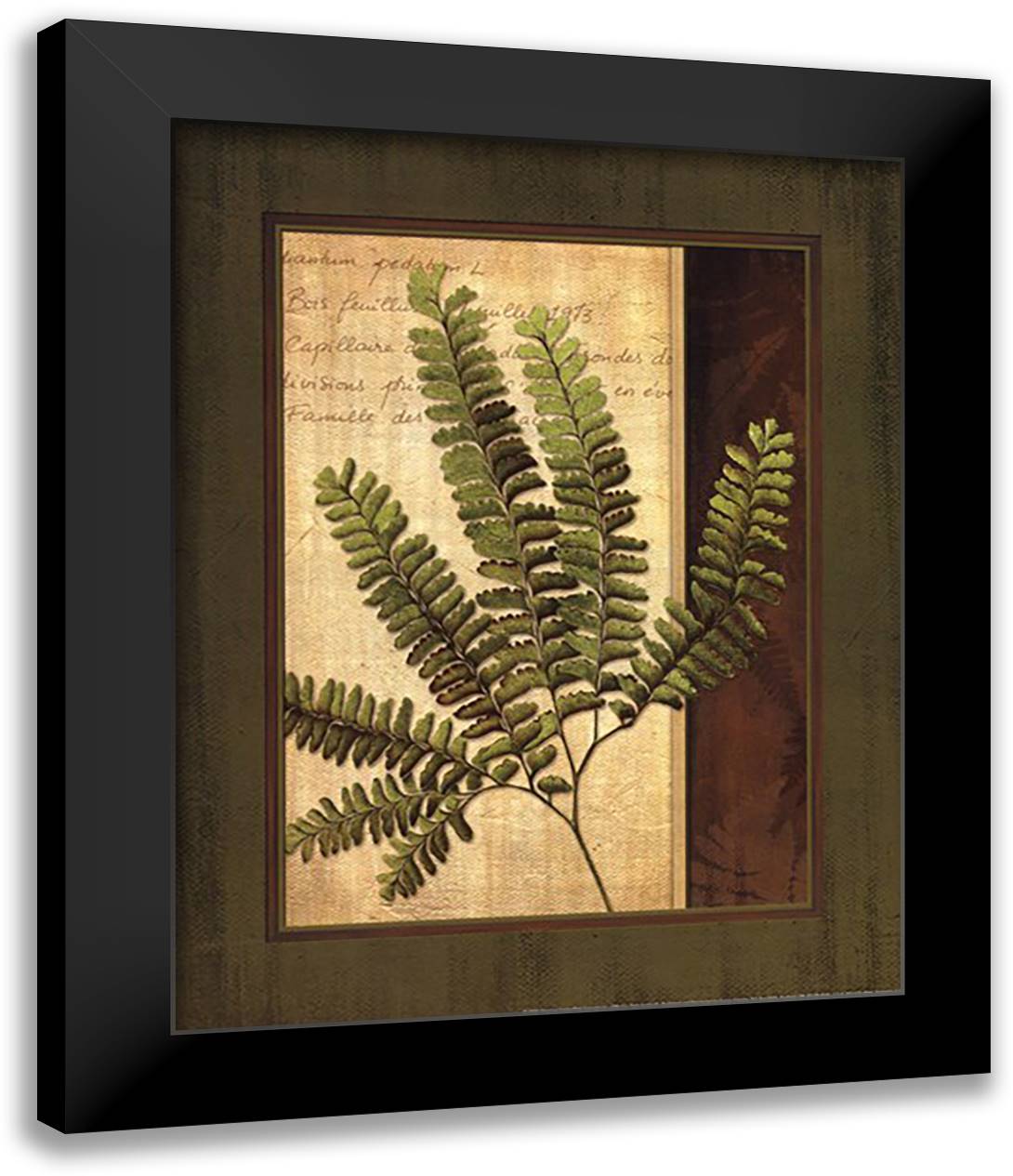 Fern Grotto II 15x18 Black Modern Wood Framed Art Print Poster by Corbin, Delphine