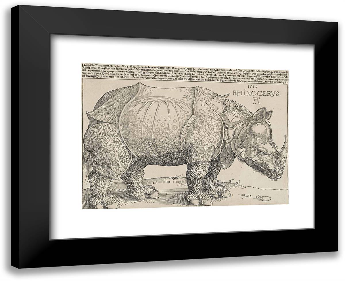 Rhinoceros 18x15 Black Modern Wood Framed Art Print Poster by Durer, Albrecht