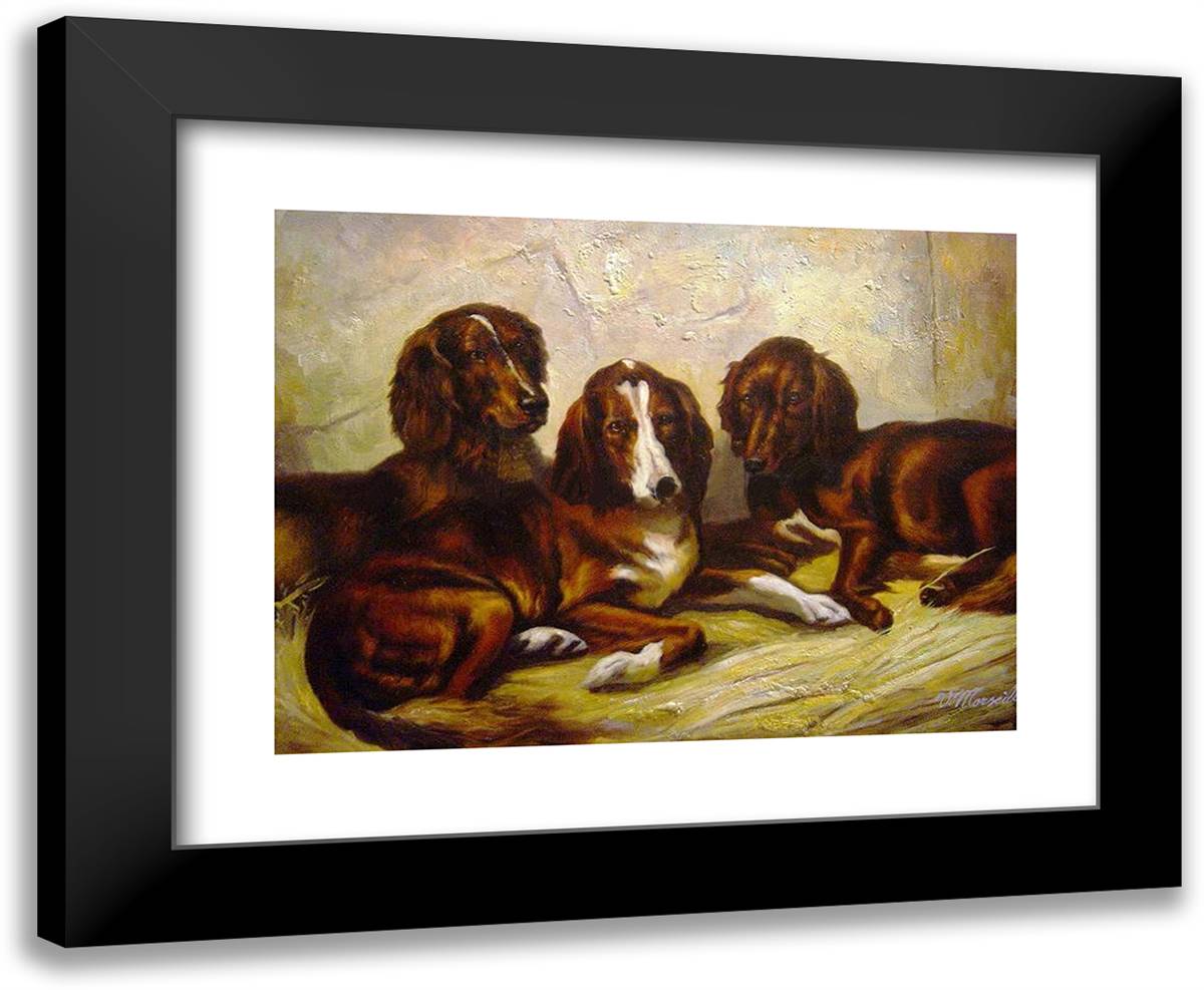 Shot and His Friends - Three Irish Red and White Setters 24x19 Black Modern Wood Framed Art Print Poster by Emms, John