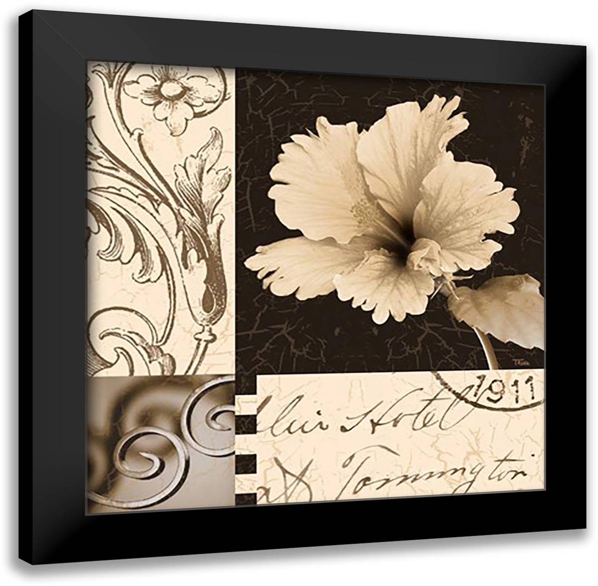 Hibiscus Blossom II 16x16 Black Modern Wood Framed Art Print Poster by Craven, Katrina