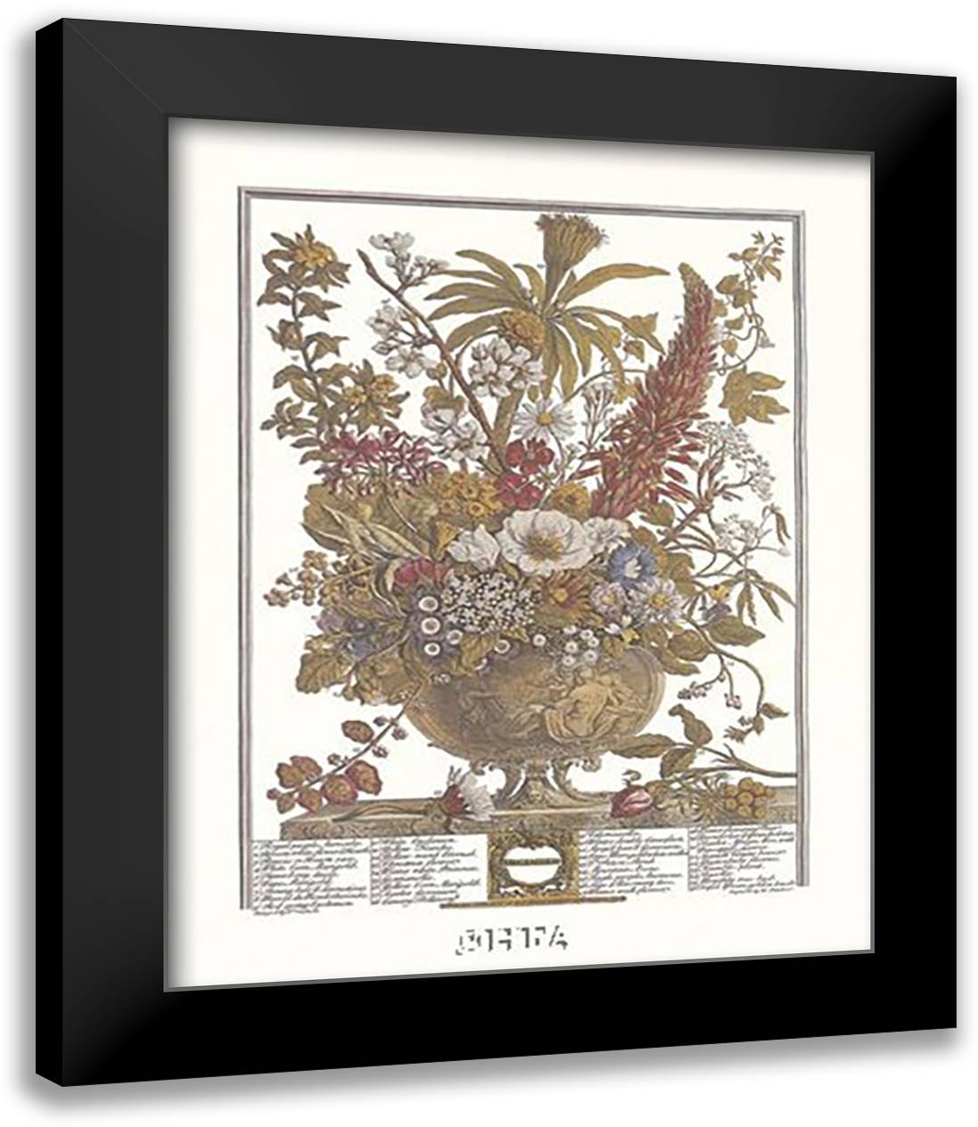 Twelve Months of Flowers, 1730/December 13x16 Black Modern Wood Framed Art Print Poster by Furber, Robert
