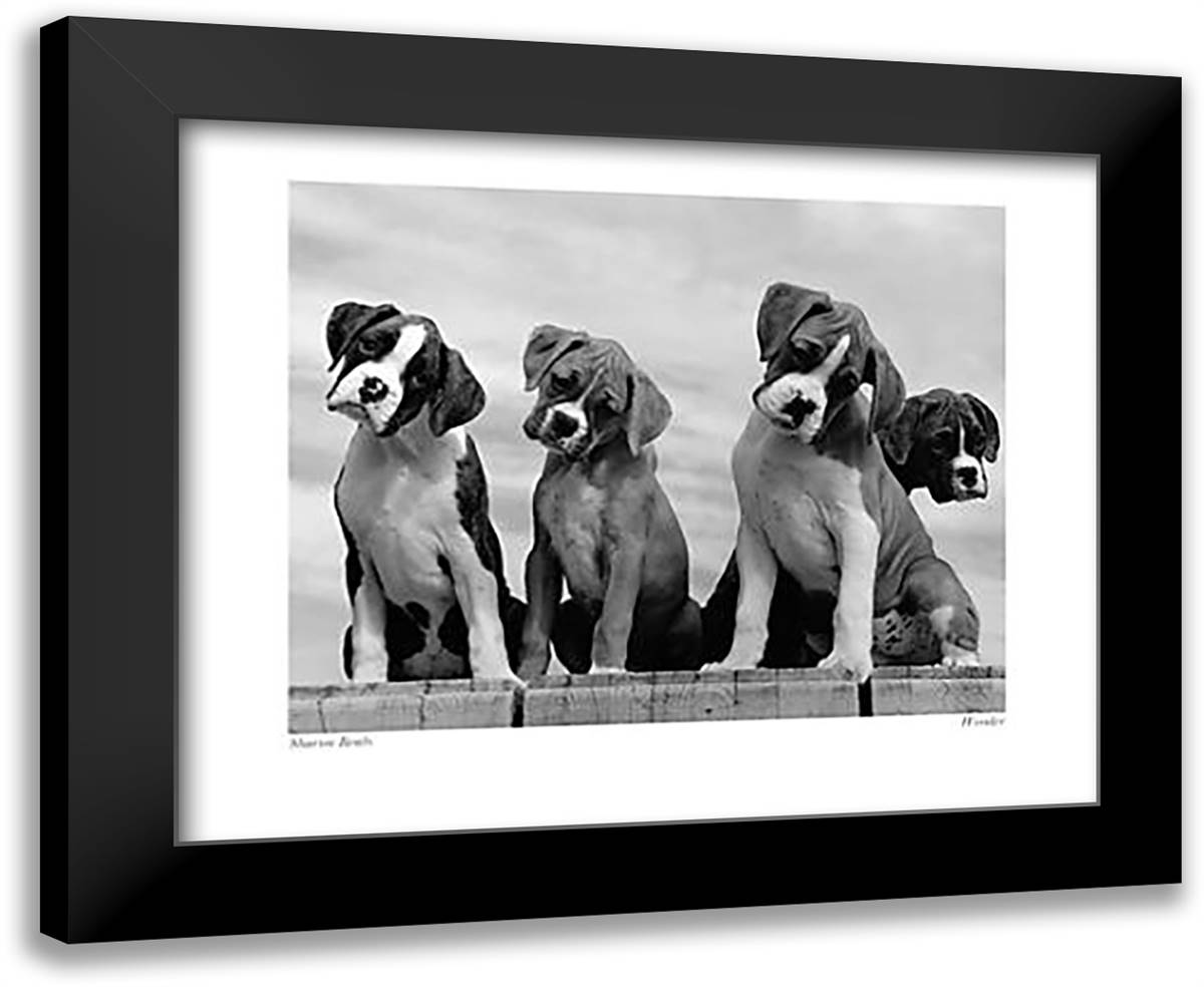 Wonder 24x20 Black Modern Wood Framed Art Print Poster by Beals, Sharon