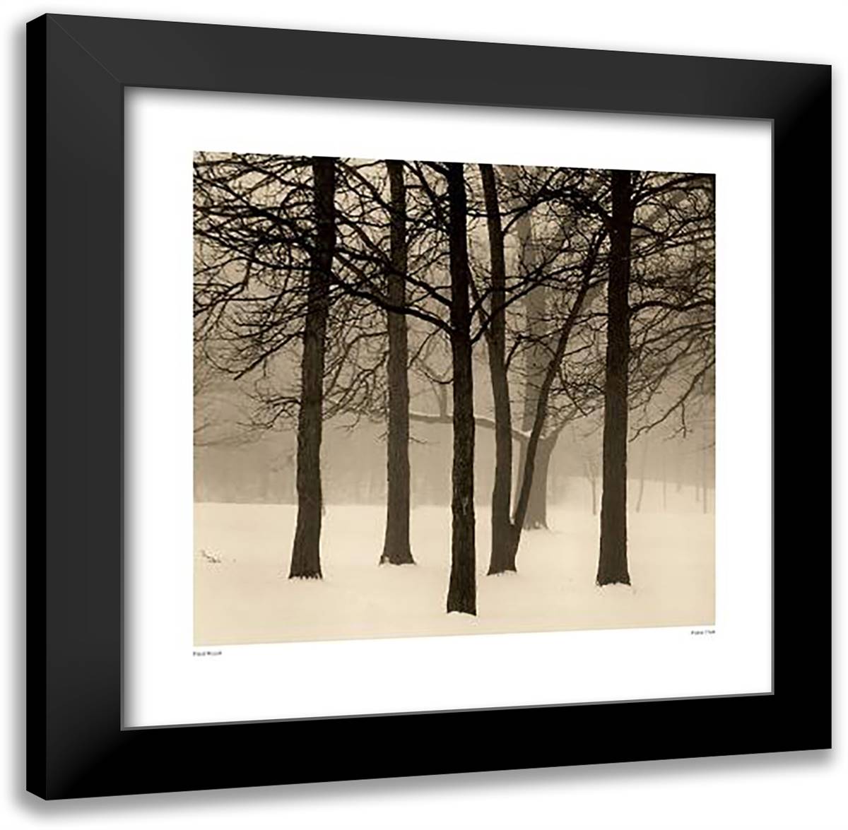Palos Park 20x20 Black Modern Wood Framed Art Print Poster by Kozal, Paul