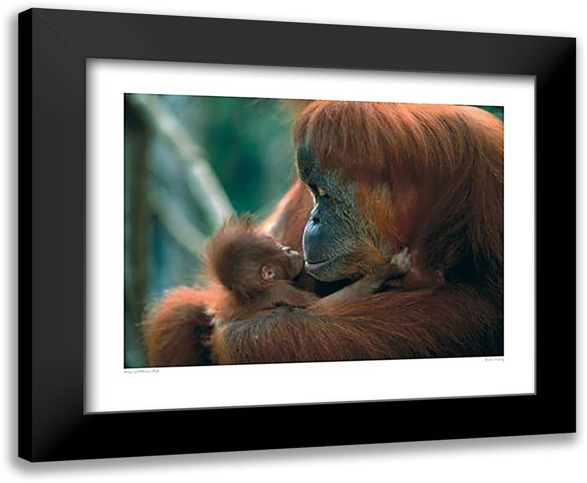 Tender Feeling 24x20 Black Modern Wood Framed Art Print Poster by Shah, Anup