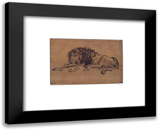 A Lion Lying Down 24x20 Black Modern Wood Framed Art Print Poster by Rembrandt