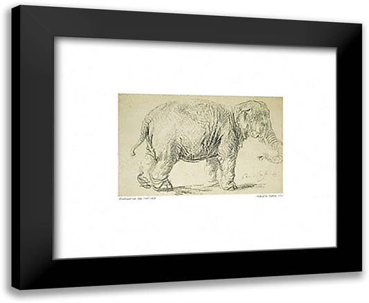 Study of an Elephant 24x20 Black Modern Wood Framed Art Print Poster by Rembrandt