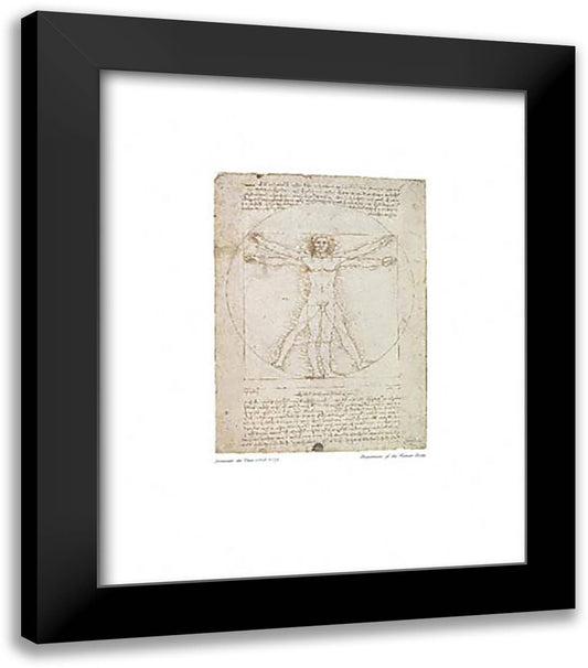Human Proportions 20x24 Black Modern Wood Framed Art Print Poster by da Vinci, Leonardo