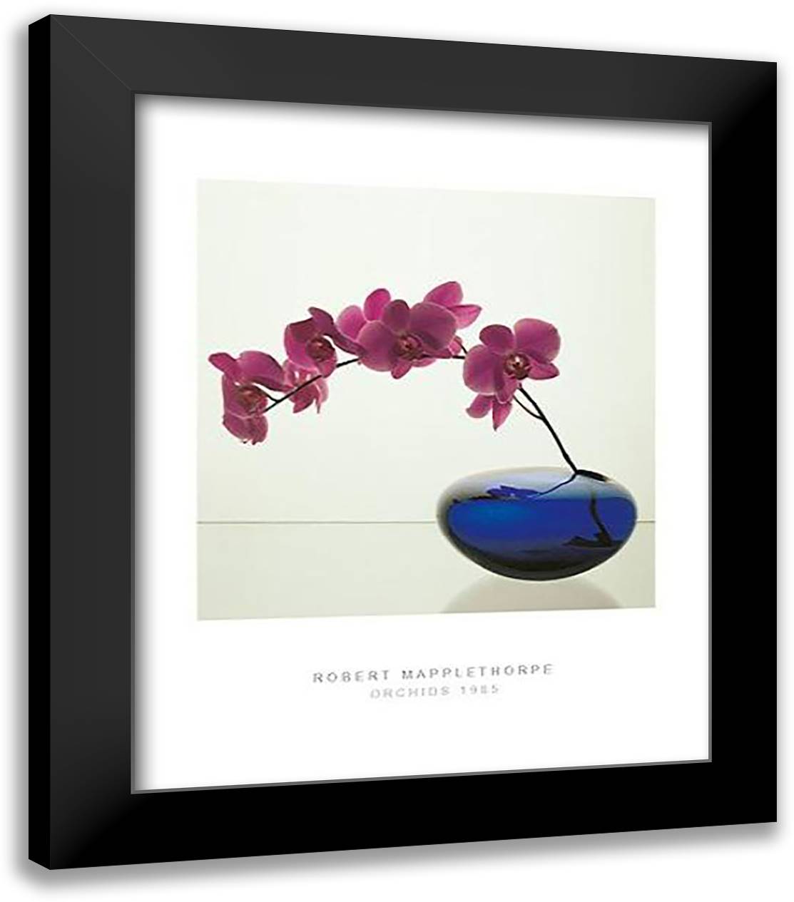 Orchids, 1985 20x24 Black Modern Wood Framed Art Print Poster by Mapplethorpe, Robert