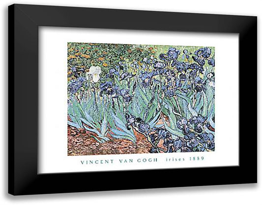 Irises, 1889 36x28 Black Modern Wood Framed Art Print Poster by Van Gogh, Vincent