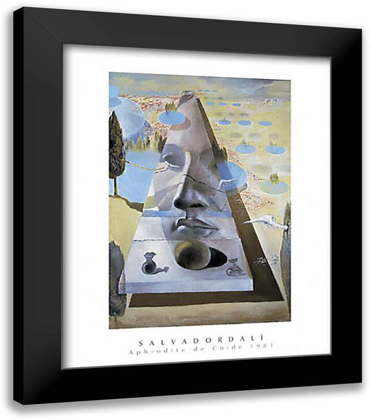 Aphrodite de Cnide 20x24 Black Modern Wood Framed Art Print Poster by Dali, Salvador