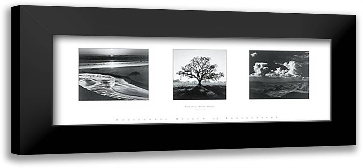 Trilogy 40x16 Black Modern Wood Framed Art Print Poster by Adams, Ansel