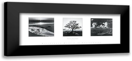 Trilogy 40x16 Black Modern Wood Framed Art Print Poster by Adams, Ansel