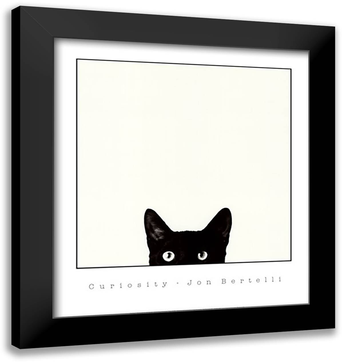 Curiosity 22x24 Black Modern Wood Framed Art Print Poster by Bertelli, Jon