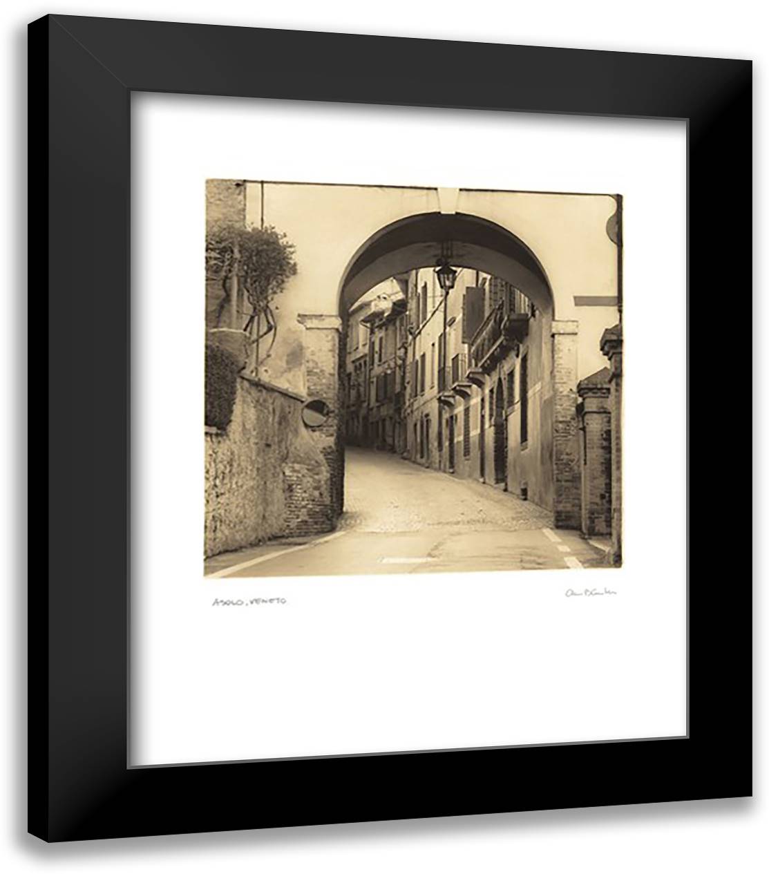 Asolo, Veneto 20x24 Black Modern Wood Framed Art Print Poster by Blaustein, Alan