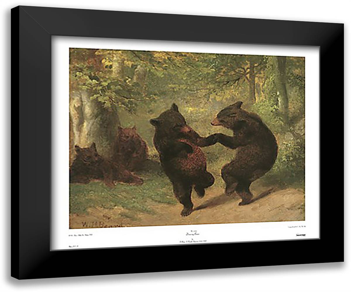 Dancing Bears (32 x 26) 32x26 Black Modern Wood Framed Art Print Poster by Beard, William