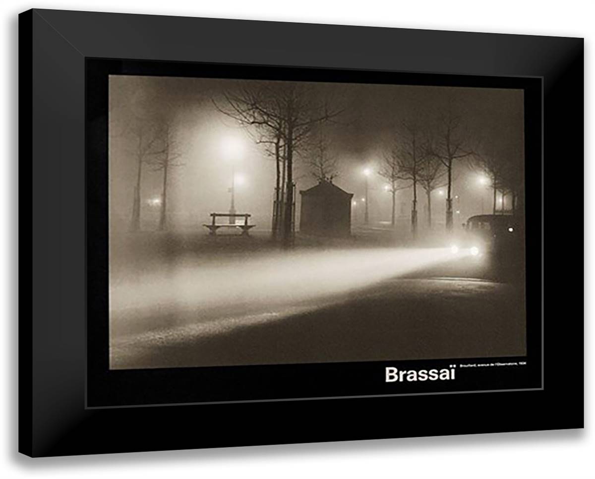 Brouillard, Avenue De L???Observatoire 40x28 Black Modern Wood Framed Art Print Poster