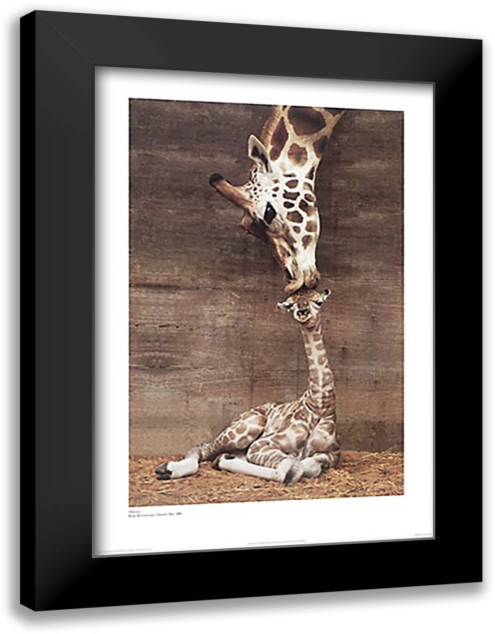 Makulu 28x40 Black Modern Wood Framed Art Print Poster by D'Raine, Ron