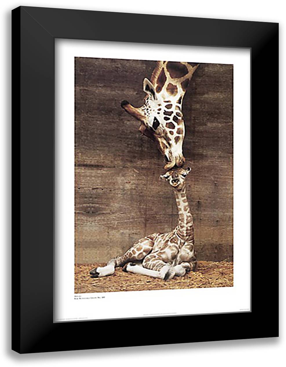 Makulu 20x24 Black Modern Wood Framed Art Print Poster by D'Raine, Ron