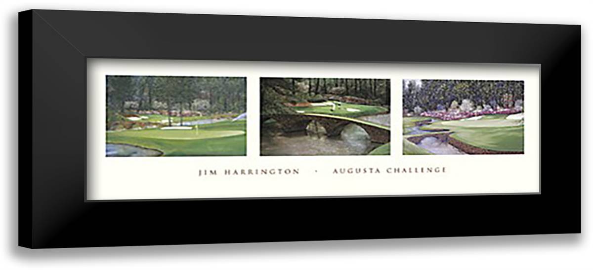 Augusta Challenge [triptych] 40x16 Black Modern Wood Framed Art Print Poster by Harrington, Jim
