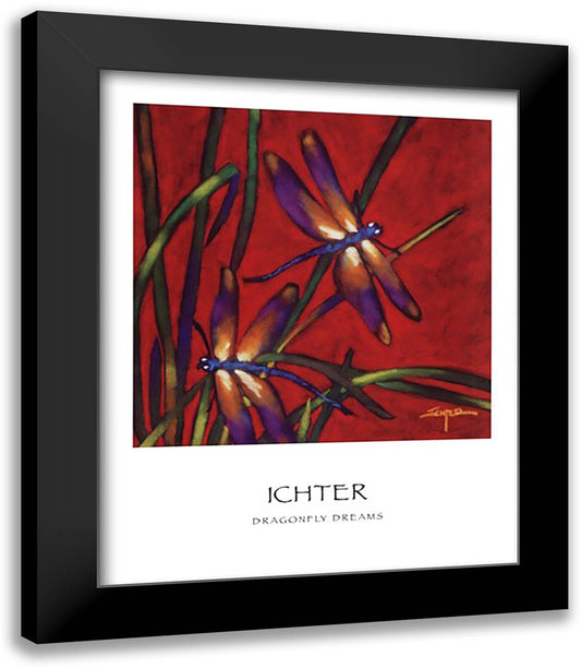 Dragonfly Dreams 23x28 Black Modern Wood Framed Art Print Poster by Ichter, Robert