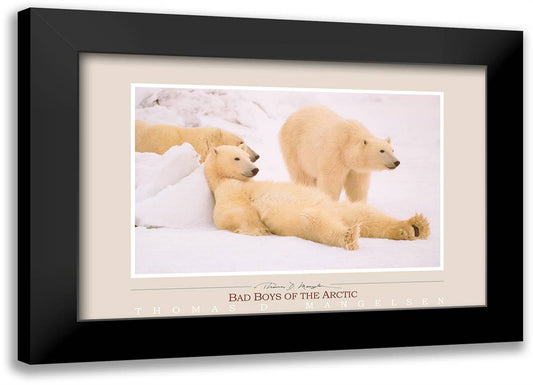 Bad Boys of the Arctic 40x28 Black Modern Wood Framed Art Print Poster by Mangelsen, Thomas