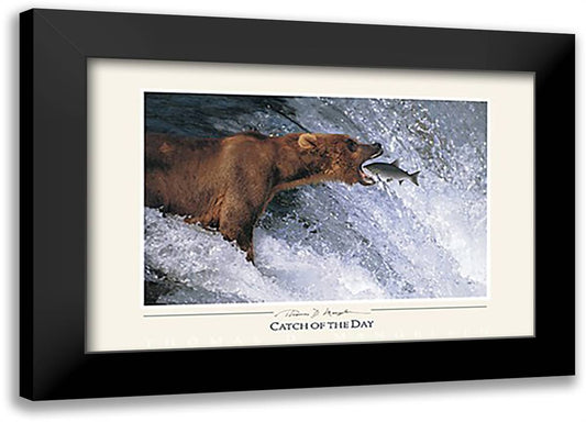 Catch of the Day 40x28 Black Modern Wood Framed Art Print Poster by Mangelsen, Thomas