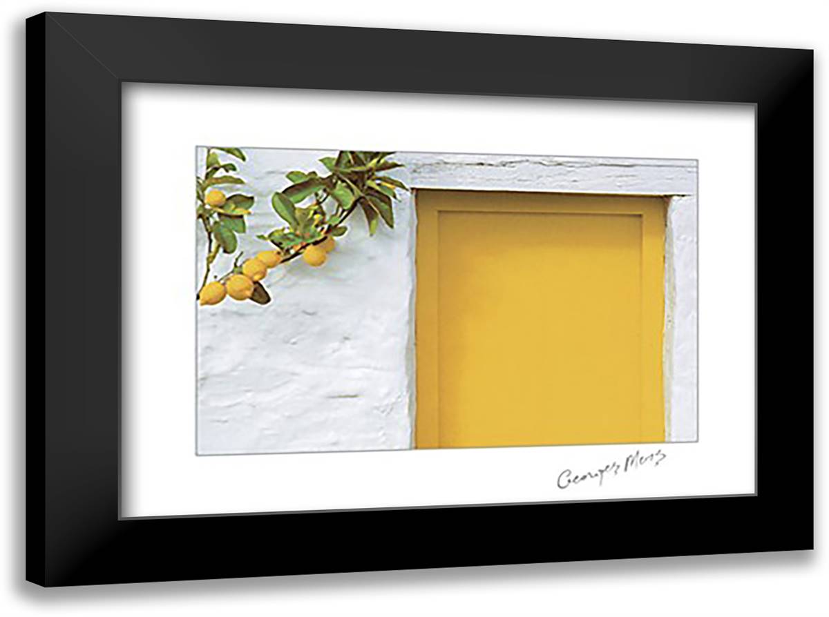 Lemons with Yellow Door 24x18 Black Modern Wood Framed Art Print Poster by Meis, George