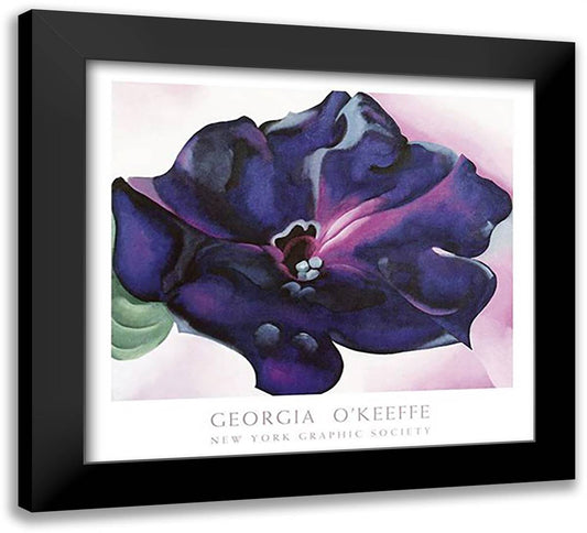 Petunia 30x28 Black Modern Wood Framed Art Print Poster by O'Keeffe, Georgia