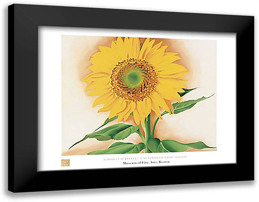 A Sunflower from Maggie 36x28 Black Modern Wood Framed Art Print Poster by O'Keeffe, Georgia