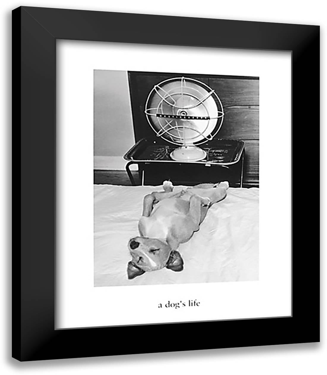 A Dog's Life 26x32 Black Modern Wood Framed Art Print Poster by Tinney, Jack
