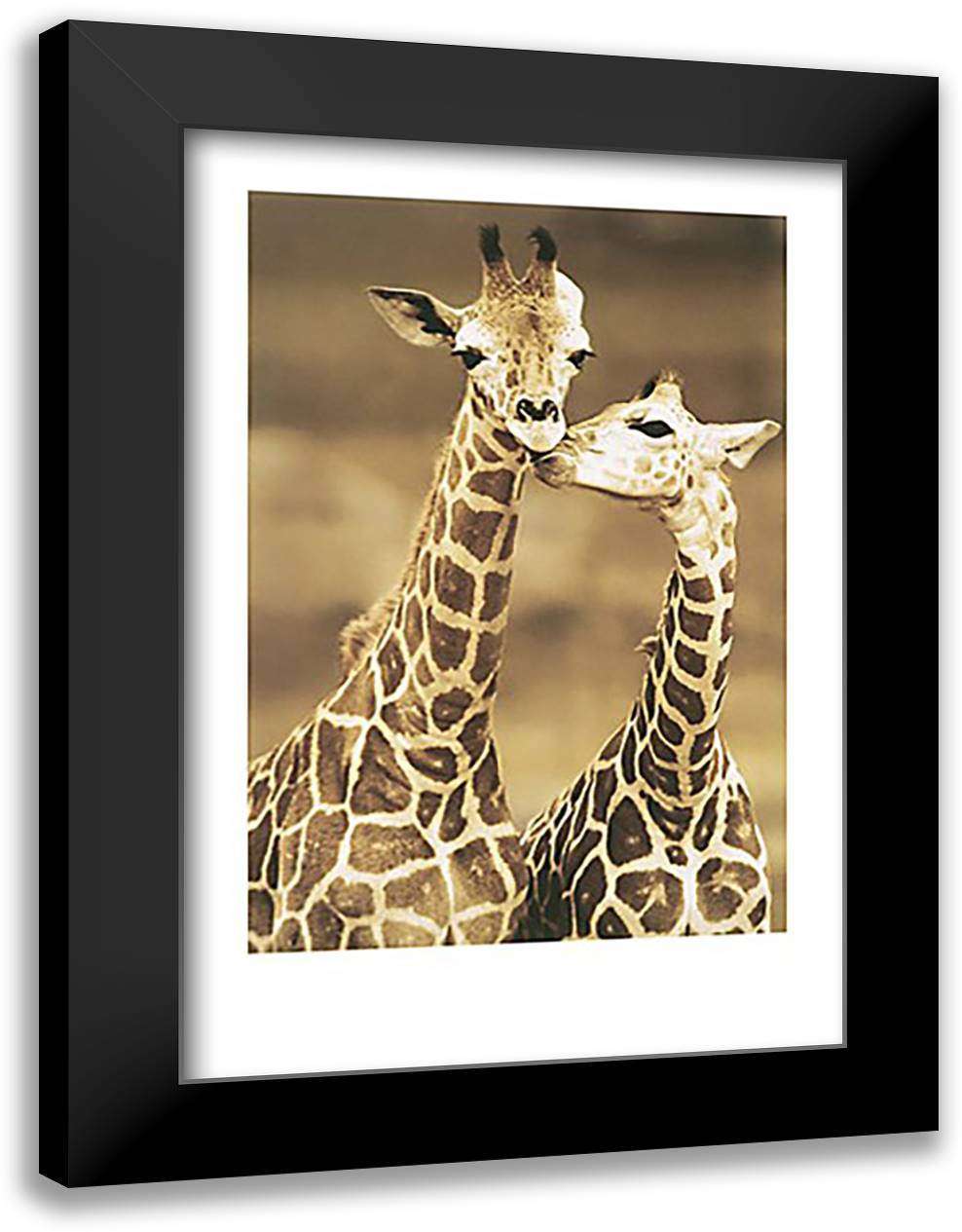 First Love 28x40 Black Modern Wood Framed Art Print Poster