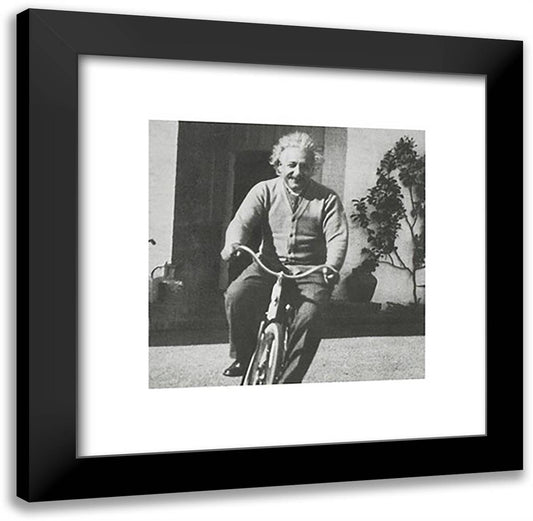 Einstein ??? Bike 20x20 Black Modern Wood Framed Art Print Poster